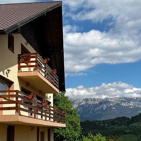 Transylvanian House Drumu Carului 外观 照片