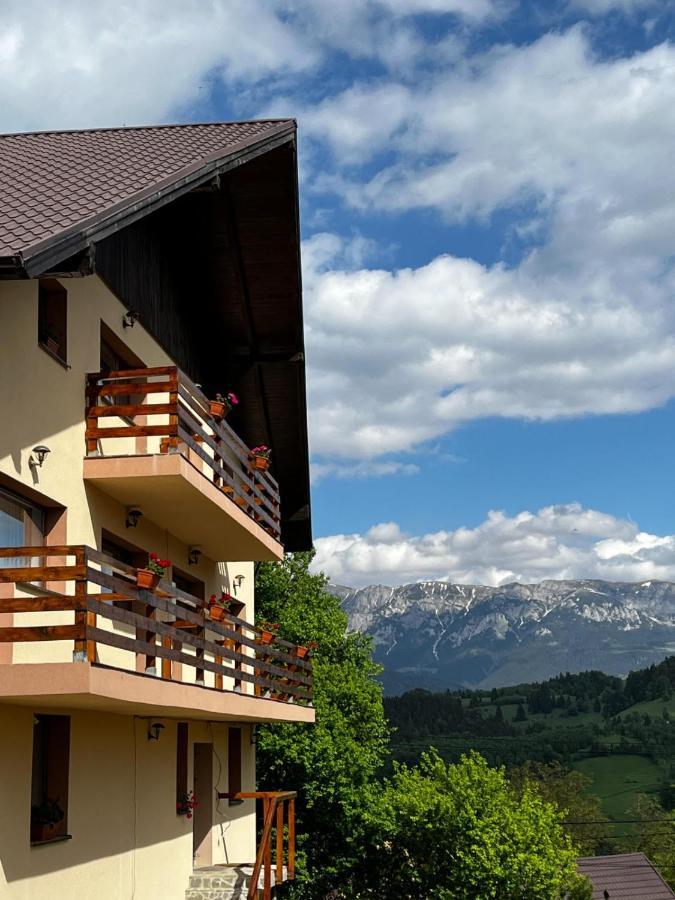 Transylvanian House Drumu Carului 外观 照片