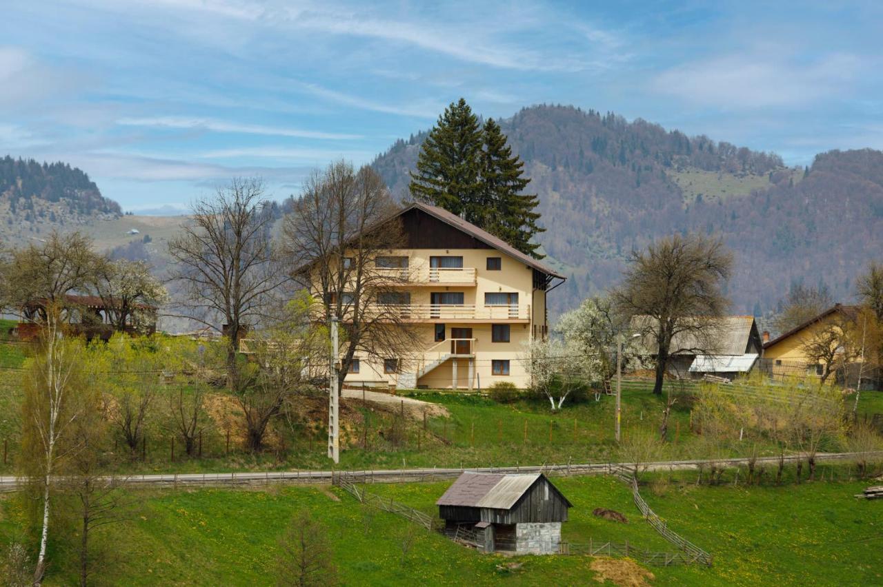 Transylvanian House Drumu Carului 外观 照片